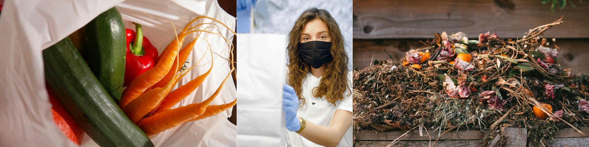 Single Use Products and Organic Waste Ban Resources